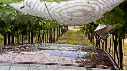 &Epsilon;&Epsilon;: &Pi;&omicron;&upsilon; &theta;&alpha; &kappa;&alpha;&tau;&epsilon;&upsilon;&theta;&upsilon;&nu;&theta;&omicron;ύ&nu; &tau;&alpha; &kappa;&omicron;&nu;&delta;ύ&lambda;&iota;&alpha; &alpha;&pi;ό &tau;&omicron;&nu; &pi;&rho;&omicron;ϋ&pi;&omicron;&lambda;&omicron;&gamma;&iota;&sigma;&mu;ό &tau;&omicron;&upsilon; 2025