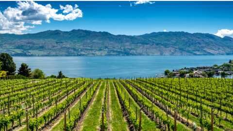 &Alpha;&gamma;&rho;&omicron;&tau;&iota;&kappa;ά &nu;έ&alpha;: &Gamma;&epsilon;&omega;&rho;&gamma;&iota;&kappa;έ&sigmaf; &pi;&rho;&omicron;&epsilon;&iota;&delta;&omicron;&pi;&omicron;&iota;ή&sigma;&epsilon;&iota;&sigmaf; &gamma;&iota;&alpha; &tau;&omicron; &Alpha;&mu;&pi;έ&lambda;&iota;