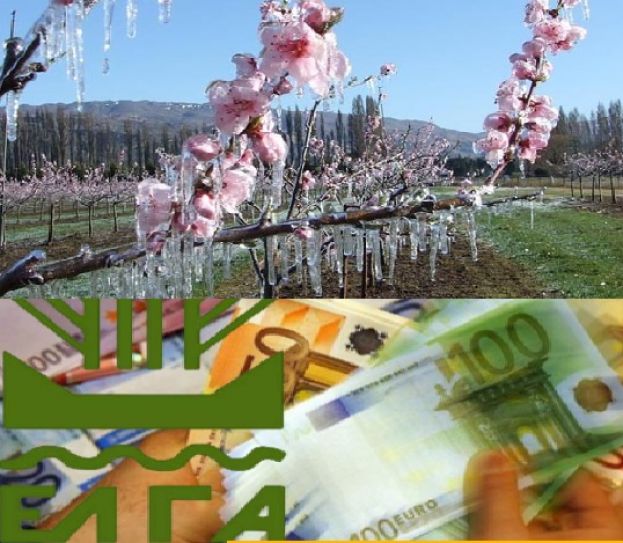 &Nu;έ&alpha; &pi;&lambda;&eta;&rho;&omega;&mu;ή &alpha;&pi;ό &tau;&omicron;&nu; &Epsilon;&Lambda;&Gamma;&Alpha; &alpha;ύ&rho;&iota;&omicron; 30 /12 - &Alpha;&phi;&omicron;&rho;ά &zeta;&eta;&mu;&iota;έ&sigmaf; &alpha;&pi;ό &pi;&alpha;&gamma;&epsilon;&tau;&omicron;ύ&sigmaf; 2020 &kappa;&alpha;&iota; &epsilon;&nu;&sigma;&tau;ά&sigma;&epsilon;&iota;&sigmaf; έ&tau;&omicron;&upsilon;&sigmaf; 2019