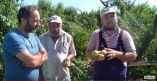 &Omicron;&iota; &pi;&alpha;&rho;&alpha;&gamma;&omega;&gamma;&omicron;ί &tau;&eta;&sigmaf; &Eta;&mu;&alpha;&theta;ί&alpha;&sigmaf; &mu;&epsilon;&tau;&rho;&omicron;ύ&nu; &tau;&iota;&sigmaf; &pi;&lambda;&eta;&gamma;έ&sigmaf; &tau;&omicron;&upsilon;&sigmaf; &alpha;&pi;ό &tau;&eta;&nu; &chi;&alpha;&lambda;&alpha;&zeta;ό&pi;&tau;&omega;&sigma;&eta; &amp; &alpha;&nu;&epsilon;&mu;&omicron;&theta;ύ&epsilon;&lambda;&lambda;&alpha; &kappa;&alpha;&iota; &mu;&iota;&lambda;&omicron;ύ&nu; &sigma;&tau;&eta;&nu; &kappa;ά&mu;&epsilon;&rho;&alpha; &tau;&eta;&sigmaf; "&Eta;&mu;&alpha;&theta;&iota;ώ&tau;&iota;&kappa;&eta;&sigmaf; &Gamma;&eta;&sigmaf;" (&Beta;ί&nu;&tau;&epsilon;&omicron; &amp; &phi;&omega;&tau;&omicron;&gamma;&rho;&alpha;&phi;ί&epsilon;&sigmaf;)
