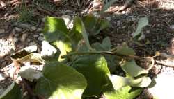 &Sigma;&tau;&omicron; 80% &omicron;&iota; &zeta;&eta;&mu;&iota;έ&sigmaf; &pi;&omicron;&upsilon; &pi;&rho;&omicron;&kappa;ά&lambda;&epsilon;&sigma;&epsilon; &alpha;&nu;&epsilon;&mu;&omicron;&theta;ύ&epsilon;&lambda;&lambda;&alpha; &sigma;&tau;&alpha; &alpha;&kappa;&tau;&iota;&nu;ί&delta;&iota;&alpha;