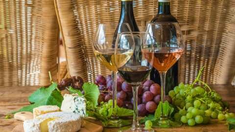 &Pi;&rho;&omega;&tau;&alpha;&gamma;&omega;&nu;&iota;&sigma;&tau;&epsilon;ί &eta; &beta;&iota;&omicron;&mu;&eta;&chi;&alpha;&nu;ί&alpha; &tau;&rho;&omicron;&phi;ί&mu;&omega;&nu; &kappa;&alpha;&iota; &pi;&omicron;&tau;ώ&nu; - &Sigma;&tau;&alpha; &laquo;&rho;&alpha;&nu;&tau;ά&rho;&raquo; &Epsilon;&lambda;&lambda;ή&nu;&omega;&nu; &kappa;&alpha;&iota; &xi;έ&nu;&omega;&nu; &epsilon;&pi;&epsilon;&nu;&delta;&upsilon;&tau;ώ&nu;