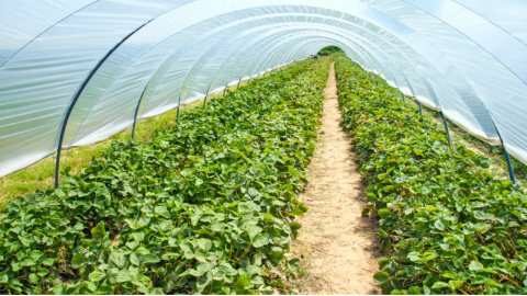 &Eta;&mu;&epsilon;&rho;ί&delta;&alpha; &gamma;&iota;&alpha; &tau;&alpha; &theta;&epsilon;&rho;&mu;&omicron;&kappa;ή&pi;&iota;&alpha; &sigma;&tau;&eta;&nu; &Kappa;&alpha;&rho;&delta;ί&tau;&sigma;&alpha;: &Pi;&omicron;&iota;&omicron;&iota; &omicron;&iota; &epsilon;&iota;&sigma;&eta;&gamma;&eta;&tau;έ&sigmaf; &pi;&omicron;&upsilon; &theta;&alpha; &alpha;&nu;&alpha;&pi;&tau;ύ&xi;&omicron;&upsilon;&nu; &tau;&alpha; &zeta;&eta;&tau;ή&mu;&alpha;&tau;&alpha; &gamma;&iota;&alpha; &tau;&omicron; &pi;&alpha;&rho;ό&nu; &kappa;&alpha;&iota; &tau;&omicron; &mu;έ&lambda;&lambda;&omicron;&nu; &tau;&omega;&nu; &theta;&epsilon;&rho;&mu;&omicron;&kappa;&eta;&pi;&iota;&alpha;&kappa;ώ&nu; &kappa;&alpha;&lambda;&lambda;&iota;&epsilon;&rho;&gamma;&epsilon;&iota;ώ&nu;