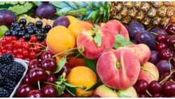 &Pi;&omicron;&iota;&epsilon;&sigmaf; &omicron;&iota; &tau;ά&sigma;&epsilon;&iota;&sigmaf; &sigma;&tau;&eta;&nu; &epsilon;&upsilon;&rho;&omega;&pi;&alpha;ϊ&kappa;ή &alpha;&gamma;&omicron;&rho;ά &tau;&rho;&omicron;&phi;ί&mu;&omega;&nu;