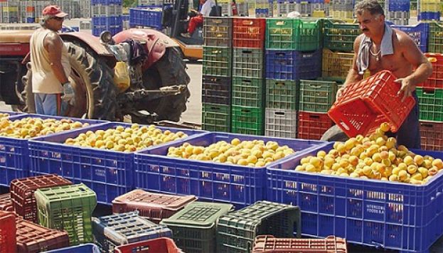 &Epsilon;&nu;&eta;&mu;έ&rho;&omega;&sigma;&eta; &tau;&eta;&sigmaf; &Epsilon;&Kappa;&Epsilon; &gamma;&iota;&alpha; &tau;&iota;&sigmaf; &pi;&omicron;&iota;&omicron;&tau;&iota;&kappa;έ&sigmaf; &pi;&rho;&omicron;&delta;&iota;&alpha;&gamma;&rho;&alpha;&phi;έ&sigmaf; &sigma;&tau;&omicron; &sigma;&upsilon;&mu;&pi;ύ&rho;&eta;&nu;&omicron; &rho;&omicron;&delta;ά&kappa;&iota;&nu;&omicron; - &Epsilon;&lambda;ά&chi;&iota;&sigma;&tau;&omicron; &beta;ά&rho;&omicron;&sigmaf; &rho;&omicron;&delta;ά&kappa;&iota;&nu;&omicron;&upsilon; 120 &gamma;&rho;.