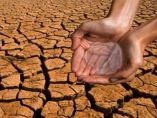 &Omicron; &alpha;&gamma;&rho;&omicron;&tau;&iota;&kappa;ό&sigmaf; &tau;&omicron;&mu;έ&alpha;&sigmaf; &sigma;&tau;&eta;&nu; &Epsilon;&upsilon;&rho;ώ&pi;&eta; &pi;&lambda;ή&tau;&tau;&epsilon;&tau;&alpha;&iota; &alpha;&pi;ό &tau;&omicron;&nu; &kappa;&alpha;ύ&sigma;&omega;&nu;&alpha; &kappa;&alpha;&iota; &tau;&eta;&nu; &xi;&eta;&rho;&alpha;&sigma;ί&alpha;