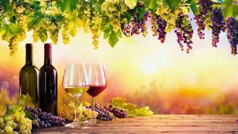 &Sigma;&tau;&eta;&nu; &pi;&epsilon;&rho;ί&pi;&tau;&omega;&sigma;&eta; &tau;&omega;&nu; &delta;&alpha;&sigma;&mu;ώ&nu; &Tau;&rho;&alpha;&mu;&pi;, &omicron;&iota; &Alpha;&nu;&epsilon;&xi;ά&rho;&tau;&eta;&tau;&omicron;&iota; &omicron;&iota;&nu;&omicron;&pi;&omicron;&iota;&omicron;ί &tau;&eta;&sigmaf; &Gamma;&alpha;&lambda;&lambda;ί&alpha;&sigmaf; &theta;έ&lambda;&omicron;&upsilon;&nu; &pi;&rho;&omicron;ώ&theta;&eta;&sigma;&eta; &tau;&omega;&nu; &epsilon;&xi;&alpha;&gamma;&omega;&gamma;ώ&nu; &kappa;&alpha;&iota; ό&chi;&iota; &alpha;&pi;&omicron;&zeta;&eta;&mu;ί&omega;&sigma;&eta;