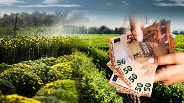 &Pi;&rho;&omicron;&beta;&lambda;ή&mu;&alpha;&tau;&alpha; &sigma;&tau;&eta;&nu; &upsilon;&lambda;&omicron;&pi;&omicron;ί&eta;&sigma;&eta; &omicron;&iota;&kappa;&omicron;&lambda;&omicron;&gamma;&iota;&kappa;ώ&nu; &sigma;&chi;&eta;&mu;ά&tau;&omega;&nu;