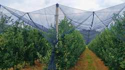 &Epsilon;&Lambda;&Gamma;&Alpha;: &Pi;&alpha;&rho;ά&tau;&alpha;&sigma;&eta; &pi;&rho;&omicron;&theta;&epsilon;&sigma;&mu;ί&alpha;&sigmaf; &tau;&omicron;&upsilon; &delta;&iota;&alpha;&gamma;&omega;&nu;&iota;&sigma;&mu;&omicron;ύ &gamma;&iota;&alpha; &tau;&omicron; &pi;&rho;ό&gamma;&rho;&alpha;&mu;&mu;&alpha; &chi;&alpha;&lambda;&alpha;&zeta;&iota;&kappa;ή&sigmaf; &pi;&rho;&omicron;&sigma;&tau;&alpha;&sigma;ί&alpha;&sigmaf;