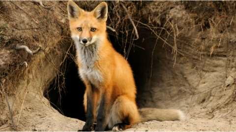 &Pi;&alpha;&rho;ά&tau;&alpha;&sigma;&eta; &tau;&omicron;&upsilon; &pi;&rho;&omicron;&gamma;&rho;ά&mu;&mu;&alpha;&tau;&omicron;&sigmaf; &epsilon;&pi;&iota;&tau;ή&rho;&eta;&sigma;&eta;&sigmaf; &tau;&eta;&sigmaf; &lambda;ύ&sigma;&sigma;&alpha;&sigmaf; έ&omega;&sigmaf; 31 &Mu;&alpha;&rho;&tau;ί&omicron;&upsilon; &alpha;&pi;ό &tau;&eta;&nu; &Pi;&Kappa;&Mu;