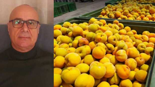 &Nu;&tau;&alpha;&omicron;ύ&kappa;&alpha;&sigmaf;: "&Eta; &kappa;&alpha;&tau;ά&sigma;&tau;&alpha;&sigma;&eta; έ&chi;&epsilon;&iota; &xi;&epsilon;&phi;ύ&gamma;&epsilon;&iota;! &Pi;&rho;έ&pi;&epsilon;&iota; &nu;&alpha; &pi;&alpha;&rho;&alpha;&delta;&omicron;&theta;&omicron;ύ&nu; 4 &tau;ό&nu;&omicron;&iota; &rho;&omicron;&delta;ά&kappa;&iota;&nu;&alpha; &alpha;&nu;ά &sigma;&tau;&rho;έ&mu;&mu;&alpha; &gamma;&iota;&alpha; &nu;&alpha; &pi;&lambda;&eta;&rho;&omega;&theta;&omicron;ύ&nu; &tau;&alpha; έ&xi;&omicron;&delta;&alpha;"