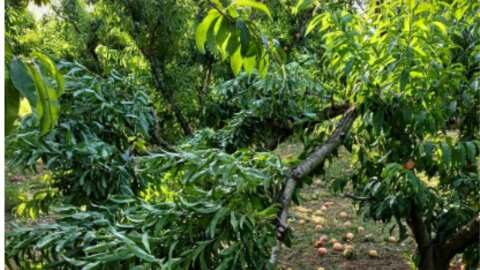&Alpha;&nu;&alpha;&kappa;&omicron;ί&nu;&omega;&sigma;&eta; &gamma;&iota;&alpha; &upsilon;&pi;&omicron;&beta;&omicron;&lambda;ή &delta;&eta;&lambda;ώ&sigma;&epsilon;&omega;&nu; &zeta;&eta;&mu;&iota;ά&sigmaf; &alpha;&pi;ό &alpha;&nu;&epsilon;&mu;&omicron;&theta;ύ&epsilon;&lambda;&lambda;&alpha; &sigma;&tau;&omicron; &Mu;&alpha;&kappa;&rho;&omicron;&chi;ώ&rho;&iota; &Eta;&mu;&alpha;&theta;ί&alpha;&sigmaf;