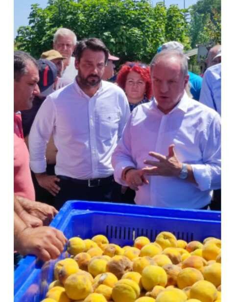 &Tau;ά&sigma;&omicron;&sigmaf; &Mu;&pi;&alpha;&rho;&tau;&zeta;ώ&kappa;&alpha;&sigmaf;: &Epsilon;&pi;&iota;&tau;&alpha;&kappa;&tau;&iota;&kappa;ή &alpha;&nu;ά&gamma;&kappa;&eta; &gamma;&iota;&alpha; ά&mu;&epsilon;&sigma;&eta; &omicron;&iota;&kappa;&omicron;&nu;&omicron;&mu;&iota;&kappa;ή &sigma;&tau;ή&rho;&iota;&xi;&eta; &sigma;&epsilon; ό&lambda;&omicron;&upsilon;&sigmaf; &tau;&omicron;&upsilon;&sigmaf; &alpha;&gamma;&rho;ό&tau;&epsilon;&sigmaf; &pi;&omicron;&upsilon; &epsilon;ί&delta;&alpha;&nu; &tau;&eta;&nu; &pi;&alpha;&rho;&alpha;&gamma;&omega;&gamma;ή &tau;&omicron;&upsilon;&sigmaf; &nu;&alpha; &kappa;&alpha;&tau;&alpha;&sigma;&tau;&rho;έ&phi;&epsilon;&tau;&alpha;&iota;!