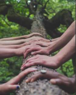 &Alpha;&nu;&alpha;&kappa;&omicron;ί&nu;&omega;&sigma;&eta; &Sigma;&omega;&mu;&alpha;&tau;&epsilon;ί&omicron;&upsilon; &Beta;&iota;&omicron;&lambda;&omicron;&gamma;&iota;&kappa;ώ&nu; &Mu;&epsilon;&lambda;&iota;&sigma;&sigma;&omicron;&kappa;ό&mu;&omega;&nu; &Epsilon;&lambda;&lambda;ά&delta;&alpha;&sigmaf;(&Sigma;&Beta;&Mu;&Epsilon;)