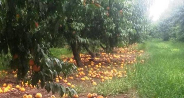 &Mu;&pi;&alpha;&rho;&tau;&zeta;ώ&kappa;&alpha;&sigmaf; &Tau;ά&sigma;&omicron;&sigmaf;: &Nu;&alpha; &alpha;&pi;&omicron;&zeta;&eta;&mu;&iota;&omega;&theta;&omicron;ύ&nu; ά&mu;&epsilon;&sigma;&alpha; &kappa;&alpha;&iota; &tau;&alpha; &sigma;&upsilon;&mu;&pi;ύ&rho;&eta;&nu;&alpha;, &pi;&omicron;&upsilon; έ&pi;&alpha;&theta;&alpha;&nu; &epsilon;&xi;ί&sigma;&omicron;&upsilon; &mu;&epsilon;&gamma;ά&lambda;&epsilon;&sigmaf; &zeta;&eta;&mu;&iota;έ&sigmaf; &alpha;&pi;ό &tau;&iota;&sigmaf; &beta;&rho;&omicron;&chi;&omicron;&pi;&tau;ώ&sigma;&epsilon;&iota;&sigmaf;