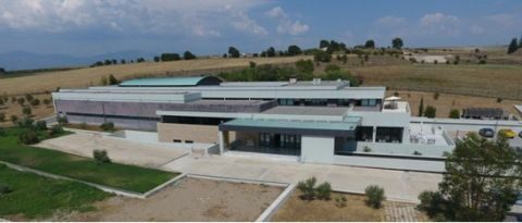 &Epsilon;&omicron;&rho;&tau;&alpha;&sigma;&mu;ό&sigmaf; &tau;&omega;&nu; 10 &chi;&rho;ό&nu;&omega;&nu; &lambda;&epsilon;&iota;&tau;&omicron;&upsilon;&rho;&gamma;ί&alpha;&sigmaf; &tau;&omicron;&upsilon; &Nu;έ&omicron;&upsilon; &Alpha;&rho;&chi;&alpha;&iota;&omicron;&lambda;&omicron;&gamma;&iota;&kappa;&omicron;ύ &Mu;&omicron;&upsilon;&sigma;&epsilon;ί&omicron;&upsilon; &Pi;έ&lambda;&lambda;&alpha;&sigmaf;