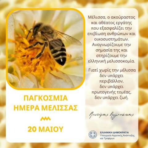 &Mu;ή&nu;&upsilon;&mu;&alpha; &Upsilon;&pi;&Alpha;&Alpha;&Tau; &gamma;&iota;&alpha; &tau;&eta;&nu; &Pi;&alpha;&gamma;&kappa;ό&sigma;&mu;&iota;&alpha; &Eta;&mu;έ&rho;&alpha; &Mu;έ&lambda;&iota;&sigma;&sigma;&alpha;&sigmaf; - &Eta; &tau;&epsilon;&rho;ά&sigma;&tau;&iota;&alpha; &sigma;&upsilon;&nu;&epsilon;&iota;&sigma;&phi;&omicron;&rho;ά &tau;&eta;&sigmaf; &sigma;&tau;&eta;&nu; &pi;&alpha;&rho;&alpha;&gamma;&omega;&gamma;ή