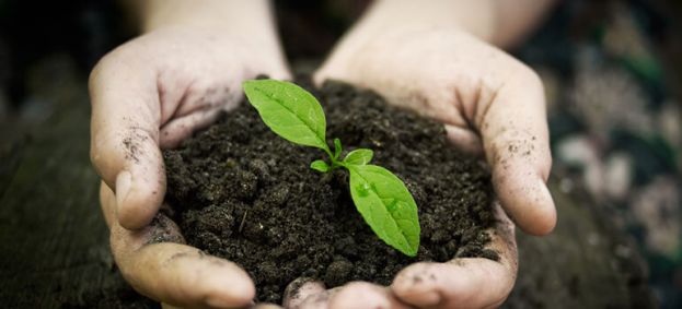 &Epsilon;&gamma;&gamma;&rho;&alpha;&phi;ή &sigma;&tau;&omicron; &Phi;&upsilon;&tau;&omicron;ϋ&gamma;&epsilon;&iota;&omicron;&nu;&omicron;&mu;&iota;&kappa;ό &Mu;&eta;&tau;&rho;ώ&omicron; - &Delta;&iota;&alpha;&delta;&iota;&kappa;&alpha;&sigma;ί&alpha; &gamma;&nu;&omega;&sigma;&tau;&omicron;&pi;&omicron;ί&eta;&sigma;&eta;&sigmaf; &phi;&upsilon;&tau;&omicron;ϋ&gamma;&epsilon;&iota;&omicron;&nu;&omicron;&mu;&iota;&kappa;ώ&nu; &alpha;&pi;&alpha;&iota;&tau;ή&sigma;&epsilon;&omega;&nu; &tau;&rho;ί&tau;&omega;&nu; &chi;&omega;&rho;ώ&nu;