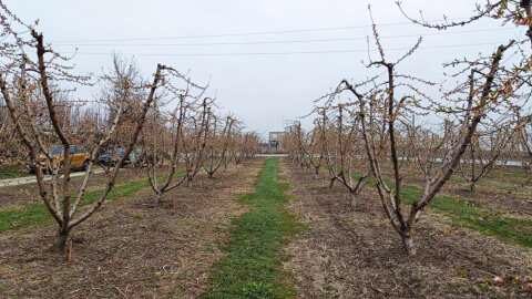 &Beta;έ&rho;&omicron;&iota;&alpha;: &Alpha;&nu;&alpha;&kappa;&omicron;ί&nu;&omega;&sigma;&eta; &gamma;&iota;&alpha; &upsilon;&pi;&omicron;&beta;&omicron;&lambda;ή &delta;&eta;&lambda;ώ&sigma;&epsilon;&omega;&nu; &zeta;&eta;&mu;&iota;ά&sigmaf; &alpha;&pi;ό &pi;&alpha;&gamma;&epsilon;&tau;ό &tau;&eta;&sigmaf; 21/2/25 &sigma;&tau;&omicron; &Mu;&alpha;&kappa;&rho;&omicron;&chi;ώ&rho;&iota; - &Delta;&iota;&alpha;&beta;&alpha;&tau;ό