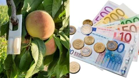 &Alpha;&nu;&alpha;&kappa;&omicron;ί&nu;&omega;&sigma;&eta; &Omicron;&Pi;&Epsilon;&Kappa;&Epsilon;&Pi;&Epsilon; &gamma;&iota;&alpha; &tau;&omicron; &pi;&rho;ό&gamma;&rho;&alpha;&mu;&mu;&alpha; "&Kappa;&Omicron;&Mu;&Phi;&Omicron;&Upsilon;&Zeta;&Iota;&Omicron;"