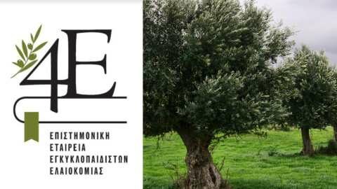 &Pi;&alpha;&gamma;&kappa;ό&sigma;&mu;&iota;&alpha; &Eta;&mu;έ&rho;&alpha; &Epsilon;&lambda;&alpha;&iota;&omicron;&kappa;&omicron;&mu;ί&alpha;&sigmaf;