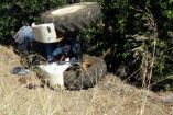 &Eta;&mu;&alpha;&theta;ί&alpha;: &Nu;&epsilon;&kappa;&rho;ό&sigmaf; 52&chi;&rho;&omicron;&nu;&omicron;&sigmaf; &mu;&epsilon;&tau;ά &alpha;&pi;ό &alpha;&nu;&alpha;&tau;&rho;&omicron;&pi;ή &tau;&rho;&alpha;&kappa;&tau;έ&rho;