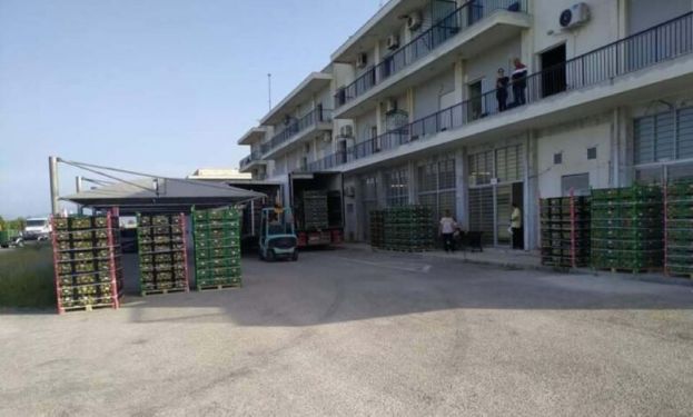 21 &tau;ό&nu;&omicron;&iota; &rho;&omicron;&delta;ά&kappa;&iota;&nu;&alpha; &alpha;&pi;ό &tau;&eta;&nu; &Nu;ά&omicron;&upsilon;&sigma;&alpha; &mu;&omicron;&iota;&rho;ά&sigma;&tau;&eta;&kappa;&alpha;&nu; &sigma;&epsilon; &epsilon;&upsilon;ά&lambda;&omega;&tau;&epsilon;&sigmaf; &omicron;&mu;ά&delta;&epsilon;&sigmaf; &tau;&eta;&sigmaf; &Pi;&epsilon;&rho;&iota;&phi;&epsilon;&rho;&epsilon;&iota;&alpha;&kappa;ή&sigmaf; &Epsilon;&nu;ό&tau;&eta;&tau;&alpha;&sigmaf; &Alpha;&rho;&gamma;&omicron;&lambda;ί&delta;&alpha;&sigmaf;