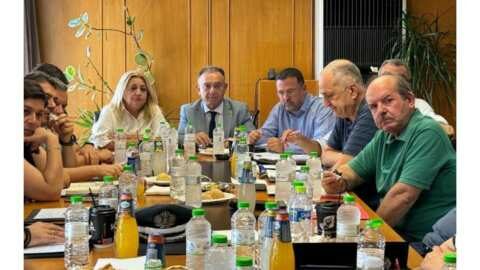 Ά&mu;&epsilon;&sigma;&alpha; &mu;έ&tau;&rho;&alpha; &kappa;&alpha;&tau;ά &tau;&eta;&sigmaf; &pi;&alpha;&nu;ώ&lambda;&eta;&sigmaf; &alpha;&iota;&gamma;&omicron;&pi;&rho;&omicron;&beta;ά&tau;&omega;&nu; &sigma;&tau;&eta;&nu; &Kappa;&alpha;&lambda;&alpha;&mu;&pi;ά&kappa;&alpha;