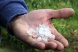 &Chi;&alpha;&lambda;&alpha;&zeta;ό&pi;&tau;&omega;&sigma;&eta; &sigma;&epsilon; &pi;&epsilon;&rho;&iota;&omicron;&chi;έ&sigmaf; &tau;&eta;&sigmaf; &Kappa;&omicron;&zeta;ά&nu;&eta;&sigmaf; &kappa;&alpha;&iota; &Pi;έ&lambda;&lambda;&alpha;&sigmaf; &sigma;ή&mu;&epsilon;&rho;&alpha; &tau;&omicron; &alpha;&pi;ό&gamma;&epsilon;&upsilon;&mu;&alpha; (&Beta;ί&nu;&tau;&epsilon;&omicron;)