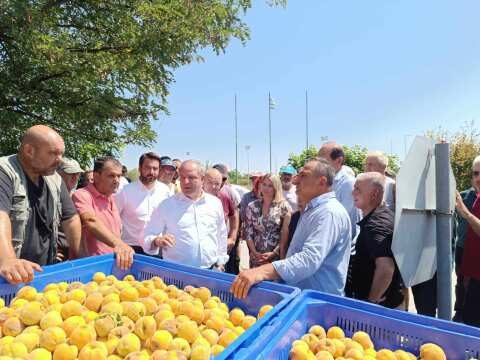 &Upsilon;&phi;&Alpha;&Alpha;&Tau; &Delta;&iota;&omicron;&nu;ύ&sigma;&eta;&sigmaf; &Sigma;&tau;&alpha;&mu;&epsilon;&nu;ί&tau;&eta;&sigmaf; &alpha;&pi;ό &Eta;&mu;&alpha;&theta;ί&alpha;: &Epsilon;&xi;&epsilon;&tau;ά&zeta;&omicron;&upsilon;&mu;&epsilon; &tau;&iota;&sigmaf; &pi;&rho;&omicron;&omicron;&pi;&tau;&iota;&kappa;έ&sigmaf; &sigma;&tau;ή&rho;&iota;&xi;&eta;&sigmaf; &tau;&omega;&nu; &pi;&alpha;&rho;&alpha;&gamma;&omega;&gamma;ώ&nu; &gamma;&iota;&alpha; &tau;&iota;&sigmaf; &zeta;&eta;&mu;&iota;έ&sigmaf; &alpha;&pi;ό &tau;&iota;&sigmaf; &beta;&rho;&omicron;&chi;&omicron;&pi;&tau;ώ&sigma;&epsilon;&iota;&sigmaf;
