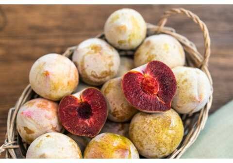 Έ&kappa;&lambda;&epsilon;&psi;&alpha;&nu; &tau;&iota;&sigmaf; &epsilon;&nu;&tau;&upsilon;&pi;ώ&sigma;&epsilon;&iota;&sigmaf; &tau;&alpha; &ldquo;watermelon plums&rdquo; (&Beta;ί&nu;&tau;&epsilon;&omicron;)