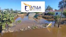 &Epsilon;&lambda;&pi;ί&delta;&alpha; &gamma;&iota;&alpha; &tau;&eta; &Delta;&eta;&mu;&omicron;&kappa;&rho;&alpha;&tau;ί&alpha;: &Eta; &pi;&rho;&omega;&tau;&omicron;&gamma;&epsilon;&nu;ή&sigmaf; &pi;&alpha;&rho;&alpha;&gamma;&omega;&gamma;ή &kappa;&alpha;&iota; &omicron;&iota; &alpha;&nu;&theta;&rho;ώ&pi;&iota;&nu;&epsilon;&sigmaf; &zeta;&omega;έ&sigmaf; &delta;&epsilon;&nu; έ&chi;&omicron;&upsilon;&nu; &kappa;&alpha;&mu;ί&alpha; &alpha;&xi;ί&alpha; &gamma;&iota;&alpha; &tau;&omicron;&upsilon;&sigmaf; &kappa;&upsilon;&beta;&epsilon;&rho;&nu;ώ&nu;&tau;&epsilon;&sigmaf;