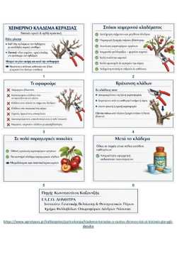 Infographic &chi;&epsilon;&iota;&mu;&epsilon;&rho;&iota;&nu;&omicron;ύ &kappa;&lambda;&alpha;&delta;έ&mu;&alpha;&tau;&omicron;&sigmaf; &kappa;&epsilon;&rho;&alpha;&sigma;&iota;ά&sigmaf;