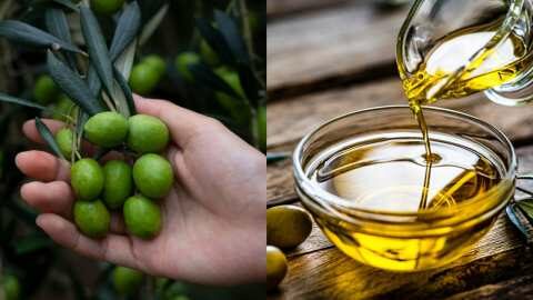 &Pi;&alpha;&rho;έ&mu;&beta;&alpha;&sigma;&eta; &tau;&eta;&sigmaf; &Epsilon;&pi;&iota;&tau;&rho;&omicron;&pi;ή&sigmaf; &Alpha;&nu;&tau;&alpha;&gamma;&omega;&nu;&iota;&sigma;&mu;&omicron;ύ &gamma;&iota;&alpha; &tau;&iota;&sigmaf; &tau;&iota;&mu;έ&sigmaf; &sigma;&tau;&omicron; &rho;ά&phi;&iota; &zeta;&eta;&tau;&omicron;ύ&nu; &omicron;&iota; &epsilon;&lambda;&alpha;&iota;&omicron;&pi;&alpha;&rho;&alpha;&gamma;&omega;&gamma;&omicron;ί &tau;&eta;&sigmaf; &Kappa;&rho;ή&tau;&eta;&sigmaf;