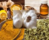 &Tau;&alpha; 5 &kappa;&alpha;&lambda;ύ&tau;&epsilon;&rho;&alpha; &beta;ό&tau;&alpha;&nu;&alpha; &kappa;&alpha;&iota; &mu;&pi;&alpha;&chi;&alpha;&rho;&iota;&kappa;ά &pi;&omicron;&upsilon; &pi;&rho;&omicron;&tau;&epsilon;ί&nu;&omicron;&upsilon;&nu; &omicron;&iota; &epsilon;&iota;&delta;&iota;&kappa;&omicron;ί &gamma;&iota;&alpha; &tau;&eta;&nu; &tau;ό&nu;&omega;&sigma;&eta; &tau;&omicron;&upsilon; &alpha;&nu;&omicron;&sigma;&omicron;&pi;&omicron;&iota;&eta;&tau;&iota;&kappa;&omicron;ύ