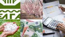 &Pi;&omega;&sigmaf; &nu;&alpha; &upsilon;&pi;&omicron;&lambda;&omicron;&gamma;ί&sigma;&epsilon;&tau;&epsilon; &tau;&omicron; &pi;&omicron;&sigma;ό &alpha;&pi;&omicron;&zeta;&eta;&mu;ί&omega;&sigma;&eta;&sigmaf; &alpha;&nu;ά &kappa;&alpha;&lambda;&lambda;&iota;έ&rho;&gamma;&epsilon;&iota;&alpha; &beta;ά&sigma;&eta; &tau;&omega;&nu; &pi;&omicron;&rho;&iota;&sigma;&mu;ά&tau;&omega;&nu; (&Pi;&Alpha;&Rho;&Alpha;&Delta;&Epsilon;&Iota;&Gamma;&Mu;&Alpha;&Tau;&Alpha;)