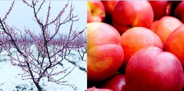 &Mu;&epsilon; &alpha;&pi;&omicron;&upsilon;&sigma;ί&alpha; &alpha;&gamma;&rho;&omicron;&tau;&iota;&kappa;ώ&nu; &sigma;&upsilon;&lambda;&lambda;ό&gamma;&omega;&nu; &eta; "&Epsilon;&upsilon;&rho;&epsilon;ί&alpha;" &sigma;ύ&sigma;&kappa;&epsilon;&psi;&eta; &gamma;&iota;&alpha; &tau;&alpha; &pi;&rho;&omicron;&beta;&lambda;ή&mu;&alpha;&tau;&alpha; &tau;&omega;&nu; &alpha;&gamma;&rho;&omicron;&tau;ώ&nu; &sigma;&tau;&omicron; &epsilon;&pi;&iota;&mu;&epsilon;&lambda;&eta;&tau;ή&rho;&iota;&omicron; &Eta;&mu;&alpha;&theta;ί&alpha;&sigmaf;