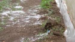 &Alpha;&nu;&epsilon;&mu;&omicron;&theta;ύ&epsilon;&lambda;&lambda;&alpha; &kappa;&alpha;&iota; έ&nu;&tau;&omicron;&nu;&eta; &chi;&alpha;&lambda;&alpha;&zeta;ό&pi;&tau;&omega;&sigma;&eta; &kappa;&alpha;&tau;έ&sigma;&tau;&rho;&epsilon;&psi;&epsilon; &kappa;&alpha;&lambda;&lambda;&iota;έ&rho;&gamma;&epsilon;&iota;&epsilon;&sigmaf; &sigma;&epsilon; &Pi;έ&lambda;&lambda;&alpha; &kappa;&alpha;&iota; &Eta;&mu;&alpha;&theta;ί&alpha; - &Pi;&epsilon;&rho;&iota;&omicron;&chi;έ&sigmaf; &pi;&omicron;&upsilon; &chi;&tau;ύ&pi;&eta;&sigma;&epsilon; &tau;&omicron; &chi;&alpha;&lambda;ά&zeta;&iota;