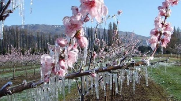 &Kappa;&alpha;&rho;&alpha;&sigma;&mu;ά&nu;&eta;&sigmaf; : &Alpha;&pi;ά&nu;&tau;&eta;&sigma;&eta; &tau;&omicron;&upsilon; &Lambda;&iota;&beta;&alpha;&nu;&omicron;ύ &kappa;&alpha;&iota; &Lambda;&upsilon;&kappa;&omicron;&upsilon;&rho;έ&nu;&tau;&zeta;&omicron;&upsilon; &gamma;&iota;&alpha; &tau;&iota;&sigmaf; &alpha;&pi;&omicron;&zeta;&eta;&mu;&iota;ώ&sigma;&epsilon;&iota;&sigmaf; &alpha;&pi;ό &tau;&omicron;&upsilon;&sigmaf; &pi;&alpha;&gamma;&epsilon;&tau;&omicron;ύ&sigmaf; &tau;&eta;&sigmaf; Ά&nu;&omicron;&iota;&xi;&eta;&sigmaf; &tau;&omicron;&upsilon; 2021