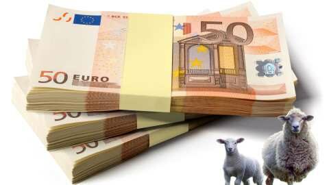 &Alpha;&pi;&omicron;&zeta;&eta;&mu;&iota;ώ&sigma;&epsilon;&iota;&sigmaf; 42.000.000 &epsilon;&upsilon;&rho;ώ &gamma;&iota;&alpha; &pi;&alpha;&nu;ώ&lambda;&eta; &kappa;&alpha;&iota; &epsilon;&upsilon;&lambda;&omicron;&gamma;&iota;ά - &Upsilon;&lambda;&omicron;&pi;&omicron;&iota;ή&theta;&eta;&kappa;&epsilon; &eta; &upsilon;&pi;ό&sigma;&chi;&epsilon;&sigma;&eta; &pi;&omicron;&upsilon; έ&lambda;&alpha;&beta;&epsilon; &tau;&omicron; &Alpha;&Kappa;&Kappa;&Epsilon;&Lambda; &sigma;&tau;&iota;&sigmaf; &Beta;&rho;&upsilon;&xi;έ&lambda;&lambda;&epsilon;&sigmaf; &alpha;&pi;ό &tau;&eta;&nu; &Kappa;&omicron;&mu;&iota;&sigma;&iota;ό&nu;