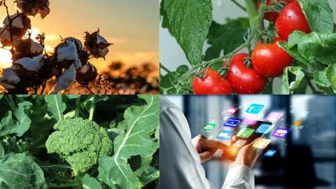 &Epsilon;&tau;&alpha;&iota;&rho;&epsilon;ί&alpha; &delta;&eta;&mu;&iota;&omicron;ύ&rho;&gamma;&eta;&sigma;&epsilon; &tau;&omicron; &pi;&rho;ώ&tau;&omicron; &beta;&rho;ώ&sigma;&iota;&mu;&omicron; &mu;&pi;&rho;ό&kappa;&omicron;&lambda;&omicron; &kappa;&alpha;&iota; &alpha;&nu;&alpha;&pi;&tau;ύ&sigma;&sigma;&epsilon;&iota; &epsilon;&pi;ί&sigma;&eta;&sigmaf; &nu;&tau;&omicron;&mu;ά&tau;&epsilon;&sigmaf; &alpha;&nu;&theta;&epsilon;&kappa;&tau;&iota;&kappa;έ&sigmaf; &sigma;&tau;&eta; &theta;&epsilon;&rho;&mu;ό&tau;&eta;&tau;&alpha; &kappa;&alpha;&iota; &beta;&alpha;&mu;&beta;ά&kappa;&iota; &alpha;&nu;&theta;&epsilon;&kappa;&tau;&iota;&kappa;ό &sigma;&tau;&eta;&nu; &xi;&eta;&rho;&alpha;&sigma;ί&alpha;