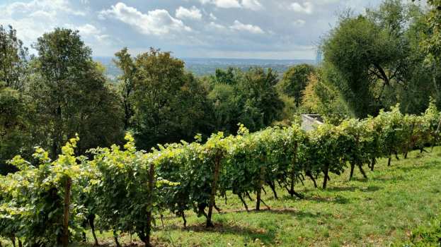 &Gamma;&epsilon;&omega;&rho;&gamma;&iota;&kappa;έ&sigmaf; &pi;&rho;&omicron;&epsilon;&iota;&delta;&omicron;&pi;&omicron;&iota;ή&sigma;&epsilon;&iota;&sigmaf; &gamma;&iota;&alpha; &tau;&omicron; &Alpha;&mu;&pi;έ&lambda;&iota;