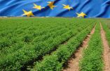 &Tau;&omicron; 20% &tau;&omega;&nu; &alpha;&gamma;&rho;&omicron;&tau;ώ&nu; &lambda;&alpha;&mu;&beta;ά&nu;&epsilon;&iota; &pi;&epsilon;&rho;ί&pi;&omicron;&upsilon; &tau;&omicron; 80% &tau;&omega;&nu; &epsilon;&nu;&iota;&sigma;&chi;ύ&sigma;&epsilon;&omega;&nu; - &Epsilon;&pi;&iota;&delta;ί&omega;&xi;&eta; &gamma;&iota;&alpha; &mu;&iota;&alpha; &Kappa;&Alpha;&Pi; &pi;&iota;&omicron; &delta;ί&kappa;&alpha;&iota;&eta; &kappa;&alpha;&iota; &epsilon;&upsilon;&phi;&upsilon;έ&sigma;&tau;&epsilon;&rho;&eta;