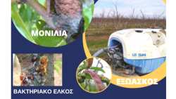 &Chi;&epsilon;&iota;&mu;&epsilon;&rho;&iota;&nu;έ&sigmaf; &epsilon;&pi;&epsilon;&mu;&beta;ά&sigma;&epsilon;&iota;&sigmaf; &sigma;&epsilon; &Rho;&omicron;&delta;&alpha;&kappa;&iota;&nu;&iota;ά - &Nu;&epsilon;&kappa;&tau;&alpha;&rho;&iota;&nu;&iota;ά - &Beta;&epsilon;&rho;&iota;&kappa;&omicron;&kappa;&iota;ά - &Kappa;&epsilon;&rho;&alpha;&sigma;&iota;ά - &Delta;&alpha;&mu;&alpha;&sigma;&kappa;&eta;&nu;&iota;ά