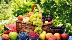 &Alpha;&nu;&theta;&epsilon;&kappa;&tau;&iota;&kappa;ό&tau;&eta;&tau;&alpha; &tau;&omega;&nu; &epsilon;&lambda;&lambda;&eta;&nu;&iota;&kappa;ώ&nu; &epsilon;&xi;&alpha;&gamma;&omega;&gamma;ώ&nu; &chi;&omega;&rho;ί&sigmaf; &pi;&epsilon;&tau;&rho;&epsilon;&lambda;&alpha;&iota;&omicron;&epsilon;&iota;&delta;ή &ndash; &Sigma;&eta;&mu;&alpha;&nu;&tau;&iota;&kappa;ή ά&nu;&omicron;&delta;&omicron;&sigmaf; &sigma;&tau;&alpha; &tau;&rho;ό&phi;&iota;&mu;&alpha; &kappa;&alpha;&iota; &delta;&iota;&alpha;&tau;ή&rho;&eta;&sigma;&eta; &mu;&epsilon;&rho;&iota;&delta;ί&omicron;&upsilon; &sigma;&tau;&eta;&nu; &Epsilon;.&Epsilon;