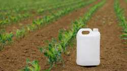 &Phi;&upsilon;&tau;&omicron;&phi;ά&rho;&mu;&alpha;&kappa;o: &Pi;&omicron;&iota;&alpha; &epsilon;ί&nu;&alpha;&iota; &tau;&alpha; &sigma;&tau;ά&delta;&iota;&alpha; &pi;&omicron;&upsilon; &alpha;&kappa;&omicron;&lambda;&omicron;&upsilon;&theta;&epsilon;ί &gamma;&iota;&alpha; &nu;&alpha; &beta;&gamma;&epsilon;&iota; &sigma;&tau;&eta;&nu; &alpha;&gamma;&omicron;&rho;ά;