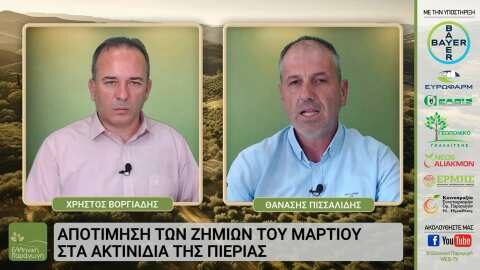 &Omicron; &Theta;&alpha;&nu;ά&sigma;&eta;&sigmaf; &Pi;&iota;&sigma;&sigma;&alpha;&lambda;ί&delta;&eta;&sigmaf; &kappa;&alpha;&lambda;&epsilon;&sigma;&mu;έ&nu;&omicron;&sigmaf; &sigma;&tau;&eta;&nu; &laquo;&Epsilon;&lambda;&lambda;&eta;&nu;&iota;&kappa;ή &Pi;&alpha;&rho;&alpha;&gamma;&omega;&gamma;ή&raquo; &mu;&epsilon; &alpha;&phi;&iota;έ&rho;&omega;&mu;&alpha; &sigma;&tau;&omicron; &epsilon;&lambda;&lambda;&eta;&nu;&iota;&kappa;ό &alpha;&kappa;&tau;&iota;&nu;ί&delta;&iota;&omicron;