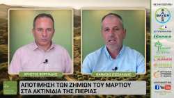 &Omicron; &Theta;&alpha;&nu;ά&sigma;&eta;&sigmaf; &Pi;&iota;&sigma;&sigma;&alpha;&lambda;ί&delta;&eta;&sigmaf; &kappa;&alpha;&lambda;&epsilon;&sigma;&mu;έ&nu;&omicron;&sigmaf; &sigma;&tau;&eta;&nu; &laquo;&Epsilon;&lambda;&lambda;&eta;&nu;&iota;&kappa;ή &Pi;&alpha;&rho;&alpha;&gamma;&omega;&gamma;ή&raquo; &mu;&epsilon; &alpha;&phi;&iota;έ&rho;&omega;&mu;&alpha; &sigma;&tau;&omicron; &epsilon;&lambda;&lambda;&eta;&nu;&iota;&kappa;ό &alpha;&kappa;&tau;&iota;&nu;ί&delta;&iota;&omicron;