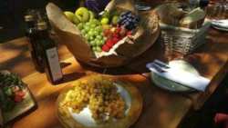 &Eta; &pi;&lambda;&omicron;ύ&sigma;&iota;&alpha; &sigma;&epsilon; &phi;&upsilon;&tau;&iota;&kappa;έ&sigmaf; &pi;&rho;&omega;&tau;&epsilon;ΐ&nu;&epsilon;&sigmaf; &delta;&iota;&alpha;&tau;&rho;&omicron;&phi;ή &mu;&pi;&omicron;&rho;&epsilon;ί &nu;&alpha; &beta;&omicron;&eta;&theta;ή&sigma;&epsilon;&iota; &tau;&iota;&sigmaf; &gamma;&upsilon;&nu;&alpha;ί&kappa;&epsilon;&sigmaf; &nu;&alpha; &pi;&alpha;&rho;&alpha;&mu;&epsilon;ί&nu;&omicron;&upsilon;&nu; &upsilon;&gamma;&iota;&epsilon;ί&sigmaf;