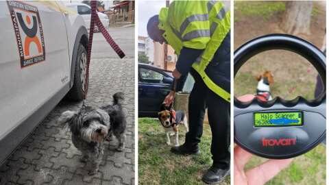 &Epsilon;&nu;&tau;&alpha;&tau;&iota;&kappa;ό&tau;&epsilon;&rho;&omicron;&iota; &omicron;&iota; έ&lambda;&epsilon;&gamma;&chi;&omicron;&iota; &alpha;&pi;ό &tau;&eta; &Delta;&eta;&mu;&omicron;&tau;&iota;&kappa;ή&sigmaf; &Alpha;&sigma;&tau;&upsilon;&nu;&omicron;&mu;ί&alpha; &Beta;έ&rho;&omicron;&iota;&alpha;&sigmaf; &sigma;&epsilon; &kappa;&tau;&eta;&nu;&omicron;&tau;&rho;ό&phi;&omicron;&upsilon;&sigmaf; &kappa;&alpha;&iota; &upsilon;&pi;ό&lambda;&omicron;&iota;&pi;&omicron;&upsilon;&sigmaf; &iota;&delta;&iota;&omicron;&kappa;&tau;ή&tau;&epsilon;&sigmaf; &zeta;ώ&omega;&nu; &sigma;&upsilon;&nu;&tau;&rho;&omicron;&phi;&iota;ά&sigmaf;